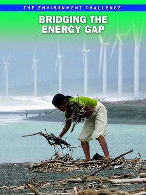 cover image of Bridging the Energy Gap